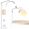 Janolia Lash Light Lash Lamp for Eyelash Tech LED Half Moon Light Esthetician Light for Lash Tech Tattoo Beauty Adjustab