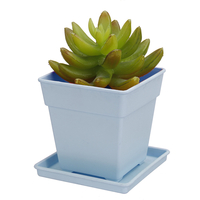 Jardin de bureau Cactus plantes succulentes Pot de fleur Pots ronds en plastique