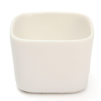 Jardinière en céramique blanche extérieure mini pot de fleur plantes succulentes jardin carré patio bureau décor