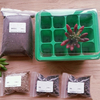 Jardinière en plastique à 9 trous avec kit de sol de mélange pour semis de plantes succulentes
