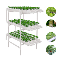 Kit de culture de site hydroponique 3 couches 12 tuyaux 108 sites de plantes Système de culture hydroponique Culture de