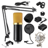 Kit de Microphone denregistrement sonore à condensateur de Microphone BM700 avec support antichoc pour Radio Braodc