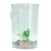 Kits de pêche décoratifs cylindriques écologiques de réservoir de poissons daquarium blanc cylindrique écologique