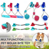 La morsure molaire danimal familier multifonction joue le bâton molaire mignon drôle de jouet de chien/chat