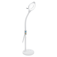 Lampadaire de sol Night LED Lampadaire loupe lumière