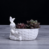 Lapin Panier Forme Pot Succulent Planter Herb Fleur Jardinage Boîte Cas Décor