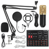 LEORY N9 Carte son professionnelle + Kit microphone à condensateur denregistrement BM800 avec support antichoc