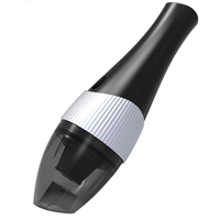 Mini aspirateur portatif sans fil / filaire 120W petit pour la maison de voiture