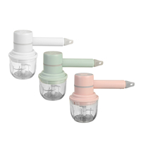Mini hachoir à ail électrique 300 ml 2 en 1 petit hachoir à nourriture portable sans fil hachoir à ail étanche avec char