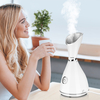 Nano ionique nettoyeur de vapeur pour le visage vapeur chaud pour le visage pulvérisateur pour le visage Machine beauté