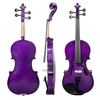 NAOMI Full Size 4/4 Basswood Violin Ebony Fingerboard KIT + Bridge + Case + Bow