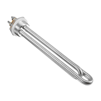 Énergie solaire délément chauffant de chauffage deau dimmersion de 12V 300W NPT BSP