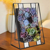 Oblique Plantes Bonsa Irrégulière Boîte En Verre Cadre Intérieur Succulent Fougère Moss Fleur Pot