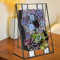 Oblique Plantes Bonsa Irrégulière Boîte En Verre Cadre Intérieur Succulent Fougère Moss Fleur Pot