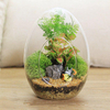 Oeuf en forme de mousse diy micro paysage bouteille de verre plantes succulentes vase décoration de la maison