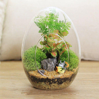 Oeuf en forme de mousse diy micro paysage bouteille de verre plantes succulentes vase décoration de la maison