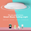 OFFDARKS Plafonnier Intelligent LXD-XG36-SP WIFI Contrôle Vocal Bluetooth Haut-Parleur APP Télécommande Chambre Cuisine