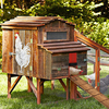 Ouvre-porte automatique de poulailler capteur de lumière porte automatique de maison de poulet sensible maison animaux d