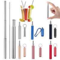 Paille portative télescopique dacier inoxydable dacier inoxydable pour la paille à boire pliante en métal réut