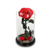 Para Ella a conservé la fleur rose fraîche avec des pétales tombés en verre Dome sur une base en bois