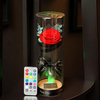 ParaEllaconservésfraisfleurde rose avec des pétales tombés en verre Dome sur une base en b