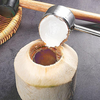 Perceuse-perceuse Hammer en acier inoxydable pour ouvre-noix de coco