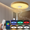 Plafonnier 38CM avec haut-parleur Bluetooth Dimmable Moderne Smart Home Party Contrôle de la lumière Couleur de la lumiè