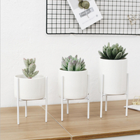 Plante de fleur en céramique blanche Plante Succulente Nordic Rack Display Stand Holder Planter hydroponique Planter