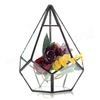 Plante succulente Triangle à effet de serre en verre Terrarium bricolage Micro paysage bouteille en verre