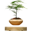 Plante en pot suspendue magnétique en grains de bois Round LED Décoration intérieure à domicile