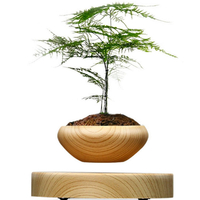 Plante en pot suspendue magnétique en grains de bois Round LED Décoration intérieure à domicile