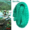Plantes de culture de fruit de ménage Anti oiseau jardin arbre de jardin protègent filet maillage étang 2m x 5m