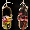 Plantes hydroponiques forme de pilule de fleur suspendu Vase en verre décor à la maison