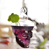 Plantes hydroponiques forme du crâne jardin de pot de fleurs suspendus vase en verre