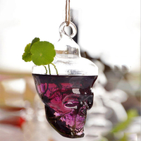 Plantes hydroponiques forme du crâne jardin de pot de fleurs suspendus vase en verre