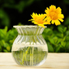 Plantes hydroponiques rayure forme bouteille en verre Vase maison jardin décoration de fête de mariage