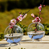 Plantes hydroponiques suspendues balle forme vase en verre décor maison de jardin