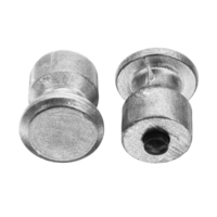 Pneu de voiture 100pcs 8 * 10mm petit clou à neige anti-dérapant vis