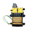 Pompe à eau de moteur de pulvérisateur électrique à double noyau 12V 130PSI pour lécologisation de jardin de lavage