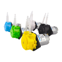 Pompes à eau à micro-pompe péristaltique 24V Pompes doseuses à pompe auto-amorçante à courant continu