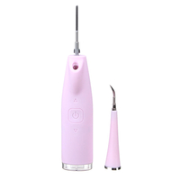 Portable électrique Oral Dents Cleaner Enlèvement Enlèvement USB Rechargeable Dents SPA Cleaner ventilateur