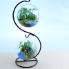 Pot de fleur créatif boule de verre vase terrarium home decor cadeau