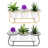 Pot de fleur de plante succulente en céramique porte-bonsa maison décoration de jardin de table avec support