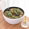 Pot de fleurs à aspiration automatique plantes charnues rondes Imitation en céramique balcon en plastique paresseux jard