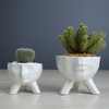 Pot de fleur en céramique humano de créatif pot de plante succulente verte