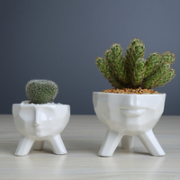 Pot de fleur en céramique humano de créatif pot de plante succulente verte