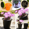 Pots de fleurs de racine de contrôle de résine multicolore Pots de plantation sans sol hydroponiques