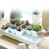 PP Plante Plateau Succulentes Semis Drain Balcon De Plus En Plus Titulaire Pépinière Jardin Décorations