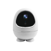 Pripaso W5 Tuya WiFi PTZ 1080P caméra IP faible puissance Batterie caméra de sécurité à domicile à distance Surveillance