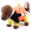 Produits de décoration pour chiens de compagnie vêtements pour chats